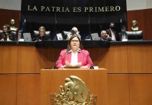 ”Hoy se cierran los huecos a la evasión y la elusión fiscal”: Imelda Castro