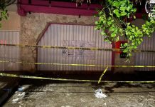 Riviera Maya, golpeada por la violencia, ‘narco’ y el cobro de piso