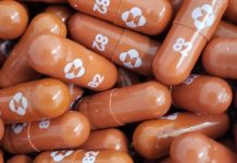 Medicamento anticovid de Merck baja 50% riesgo de muerte y hospitalización; alistan trámites para uso