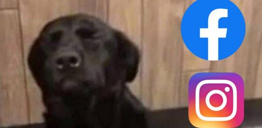 Facebook, Instagram y Messenger sufren caída nuevamente, hoy 8 de octubre; esto sabemos