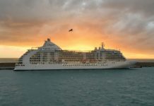 Turismo de cruceros prepara nuevas experiencias tras su reactivación