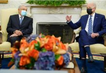 Biden y AMLO acuerdan colaboración en programas Sembrando Vida y Jóvenes Construyendo el Futuro