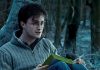 15 libros parecidos a Harry Potter que te sorprenderán