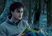 15 libros parecidos a Harry Potter que te sorprenderán
