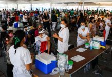 Semáforo Covid-19: salvo Baja California, todo el país está en verde