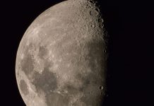 México entra a la carrera para colonizar la Luna: prevén asentamientos humanos en 10 años