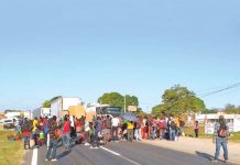 El ‘mexican dream’ no ‘engancha’ a migrantes