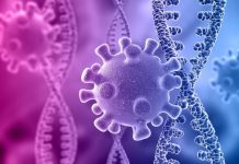 Científicos recodifican genoma del coronavirus para crear una vacuna intranasal