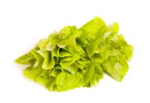 Se notifica el retiro voluntario de lechugas de la marca Dole