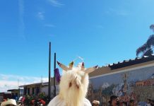 En el pueblo mágico de Coscomatepec de Bravo, Veracruz se llevó a cabo el Primer Festival Nacional Máscaras Danzantes, el cual es un evento cultural tradicional de carácter nacional que aglomera a las danzas mexicanas que usan máscaras.