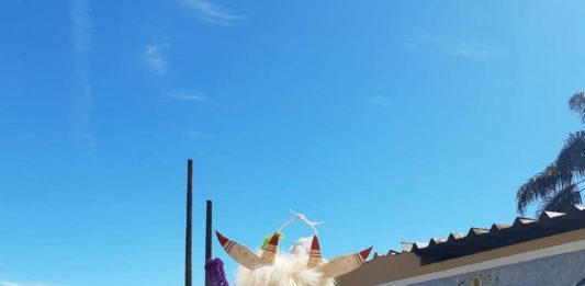 En el pueblo mágico de Coscomatepec de Bravo, Veracruz se llevó a cabo el Primer Festival Nacional Máscaras Danzantes, el cual es un evento cultural tradicional de carácter nacional que aglomera a las danzas mexicanas que usan máscaras.