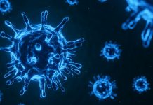 Rusia detecta sus dos primeros casos de la variante ómicron de covid-19