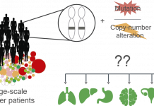Descubren por qué los genes necesitan una o dos mutaciones para causar cáncer