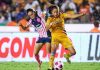 Tigres vs Monterrey; los números de la final de la Liga MX Femenil