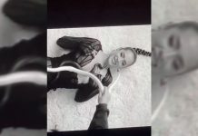 #Video Serpiente muerde a cantante al grabar video musical