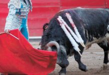 Aprueban en comisiones prohibir corridas de toros en CDMX