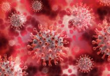 En Reino Unido aumentan los contagios por variante ómicron: van 12 muertos y 104 hospitalizaciones