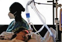 Hallazgo en Francia; detectan nueva variante de covid