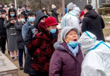 OMS notifica récord de 21 millones de casos covid durante última semana