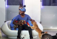 El hotel para perros que ofrece lujo canino de «seis estrellas»