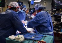 Trasplantan con éxito un corazón de cerdo a un hombre en EE.UU.