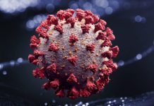 ‘Deltacron’, nueva variante de covid-19 que es una combinación de delta con ómicron; características y casos