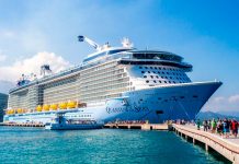 Variante ómicron perturba nuevamente el mundo de los cruceros