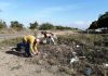 Recolectan 2 toneladas de basura en carreteras de La Cruz, Elota