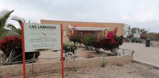 Ante la próxima llegada del Secretario de Turismo Federal, Miguel Torruco Marqués, personal de la Sectur, INAH y de Turismo de San Ignacio realizaron una visita a la zona arqueológica de Las Labradas para afinar detalles sobre la visita del funcionario estatal.