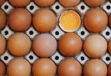 Revelan ‘claras de huevo’ sostenibles: las produce hongo que secreta proteína