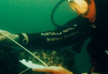Investigadores australianos afirman haber encontrado el barco Endeavour del explorador James Cook