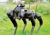 EUA usa perros robot en frontera con México para vigilar zonas de alto riesgo