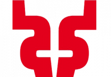 Marca Venados forma parte de la primera asociación de productos deportivos únicos que lanzó Official League