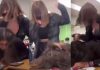 Chica golpea brutalmente en la cabeza a su compañera de clase; los demás solo observaron y rieron | FUERTE VIDEO