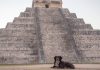 Rescatan a primer perro de la zona arqueológica de Chichén Itzá