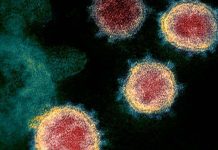 Estudio confirma la ‘inmunidad innata’ a la Covid-19; por eso algunas personas no se contagian