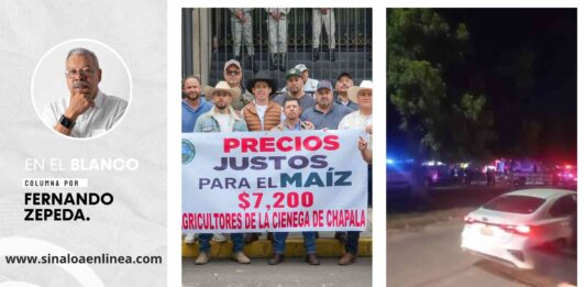 En el blanco por Fernando Zepeda H.