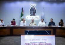 Gobernador Rocha y secretario de Agricultura valoran con productores condiciones de comercialización del maíz 2026