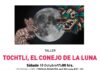 Tochtli, el Conejo en la Luna: ¡Taller de Astronomía gratis para niños en Casa del Marino!