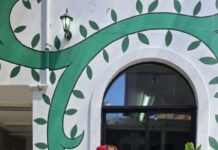 Doctorado Honoris Causa para el Maestro Javier Arcadia por 40 Años de Trayectoria