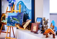 Arte y protección de la Tortuga Marina, el legado de Fernando Enciso Saracho