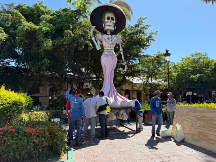 WhatsApp Image 2025-10-28 at 1.10.27 PM (1)