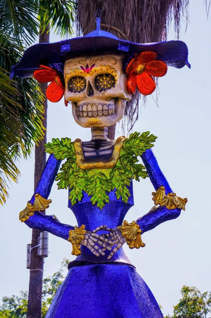 WhatsApp Image 2025-10-29 at 9.54.23 PM