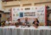 Anuncian la XV Temporada del Mercado Orgánico de Mazatlán