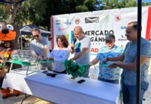 Arranca la temporada 15 del Mercado Orgánico en Plazuela Zaragoza