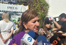 Violencia en el hogar, la más recurrente en Mazatlán: Tere Guerra