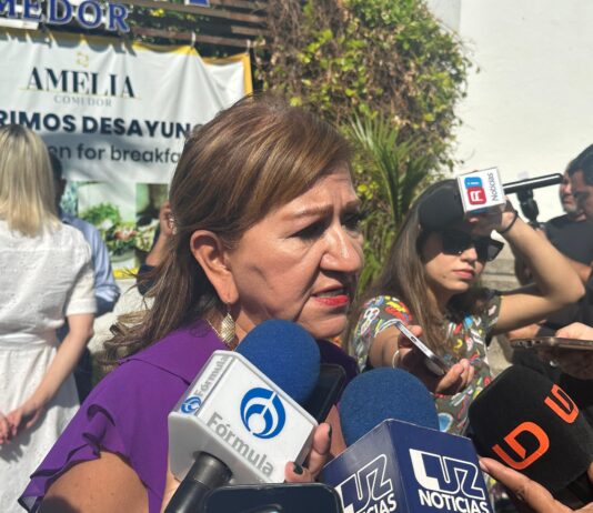 Violencia en el hogar, la más recurrente en Mazatlán: Tere Guerra