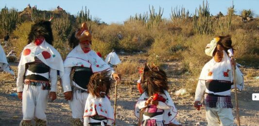 A través de un proyecto financiado por la SECIHTI, investigadores de la UAS estudiarán de manera multidisciplinaria las comunidades étnicas del noroeste de México