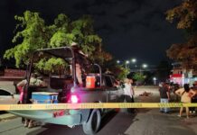 Siete asesinatos y hallazgos de restos óseos marcan jornada violenta en Sinaloa