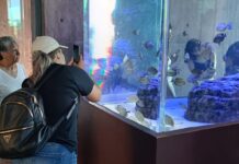 El Gran Acuario, referente turístico de Mazatlán